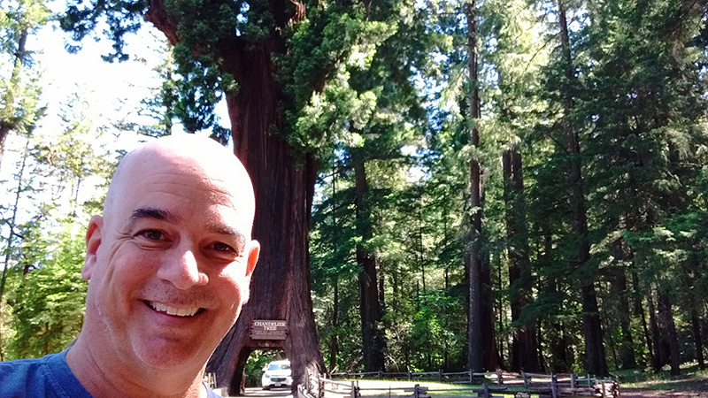 The drive-thrue Chandelier Tree - DJ Peace - Awesome Travel Blog Northern California