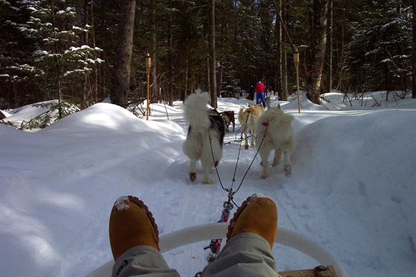 Dog Sledding from rider's perspective - Ice Hotel Excursion